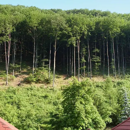 Holiday In Omassa/ostungarn 20469 Дом отдыха *