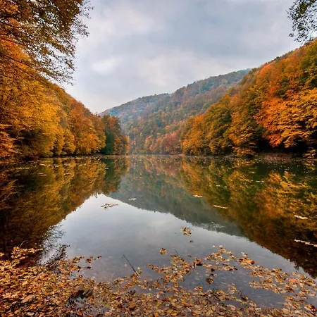 Holiday In Omassa/ostungarn 20469 Дом отдыха *